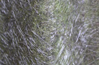 East Meon fibreglass roof work